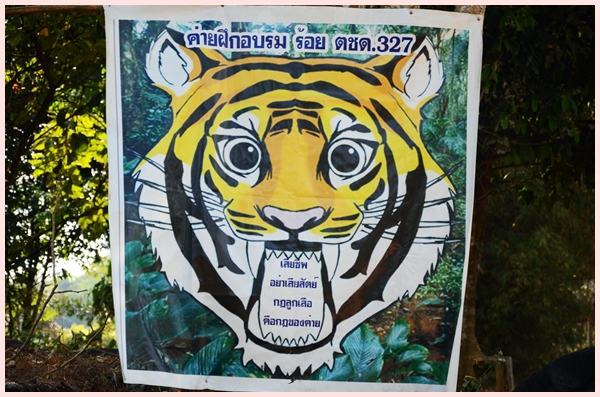 DSC 0908