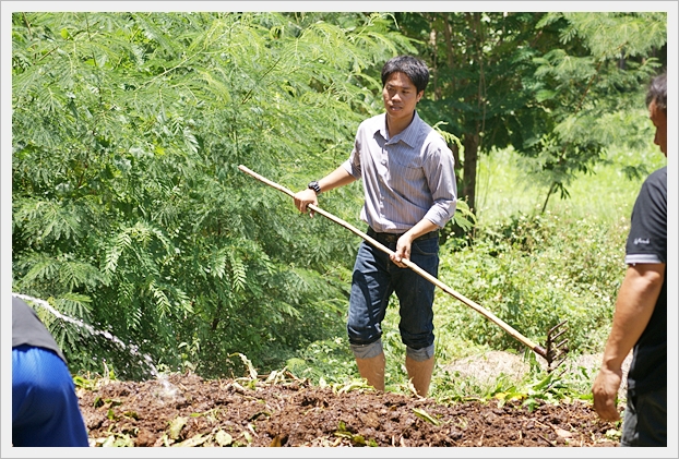 ปุ๋ยอินทรีย์ไม่พลิกกอง - 16