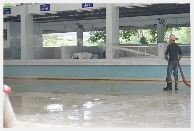 ทำความสะอาดโรงเรียน - 10