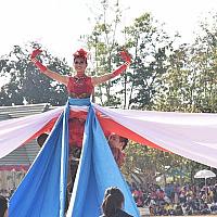 DSC 0246