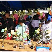DSC00403
