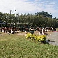 DSC06989